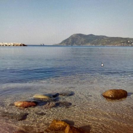 Pin Rollan Beach Saint-Mandrier-sur-Mer Zewnętrze zdjęcie